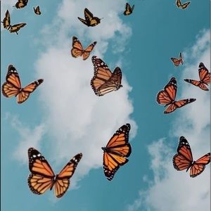 Meet your Posher, Caylee